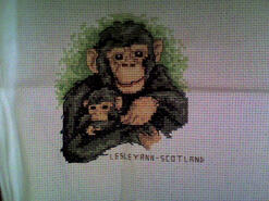 Cross stitch square for Luke B's quilt
