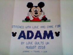 Cross stitch square for Adam B's quilt