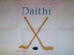 Cross stitch square for Dáithí M's quilt