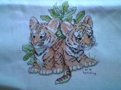 Cross stitch square for Malachy's quilt